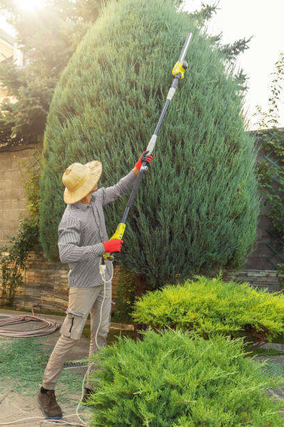 Best Commercial Tree Services  in USA